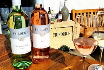 Wohnmobilstellplatz: Stellplatz Weingut Friedrich