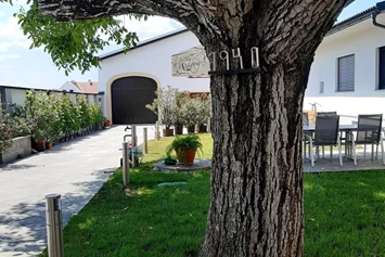 Wohnmobilstellplatz: Stellplatz Weingut Friedrich