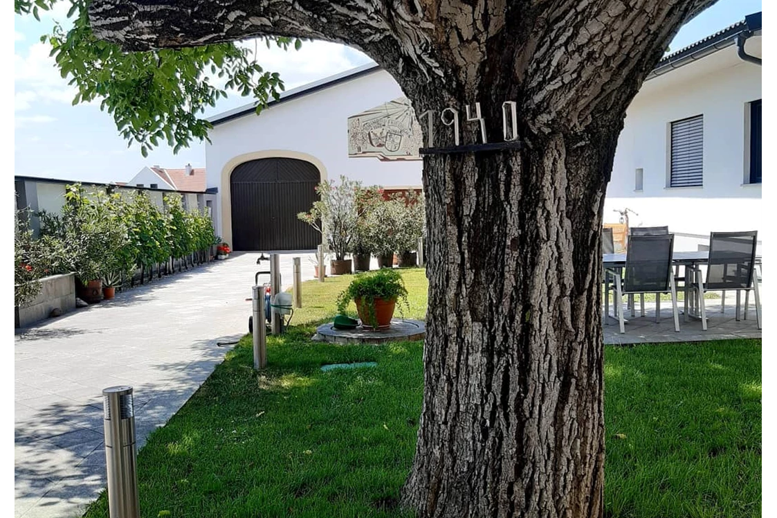 Wohnmobilstellplatz: Stellplatz Weingut Friedrich