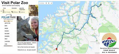 Wohnmobilstellplatz: Besøk Nordkapp (ca 5 timer) - besøk Polar Zoo (ca 3 timer).
 - Sandnes Fjord Camping