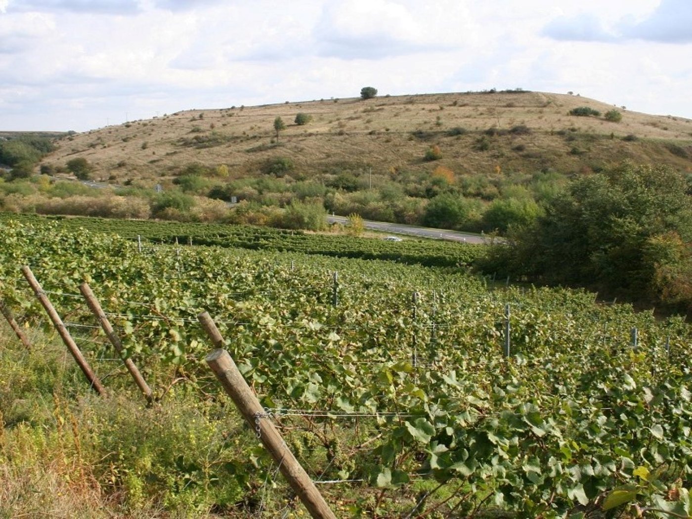wohnmobilstellplatz-weingut-hoffmann-alte-schrotmühle-1171678.jpg?h=774&w=1161&mode=crop&scale=canvas&format=webp&quality=90&autorotate=true