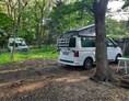 Wohnmobilstellplatz: Parkmöglichkeit unter mächtigen Bäumen - Kinderfreundliche Idylle zwischen Köln und Bonn mit (Tier) Park