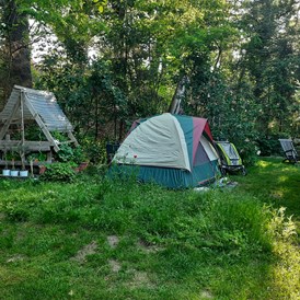 Wohnmobilstellplatz: Tolle, blumige Stellfläche für mehrere Zelte. - Kinderfreundliche Idylle zwischen Köln und Bonn mit (Tier) Park