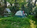 Wohnmobilstellplatz: Tolle, blumige Stellfläche für mehrere Zelte. - Kinderfreundliche Idylle zwischen Köln und Bonn mit (Tier) Park