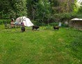 Wohnmobilstellplatz: Separate Zeltwiese mit unseren Soay Schafen  - Kinderfreundliche Idylle zwischen Köln und Bonn mit (Tier) Park