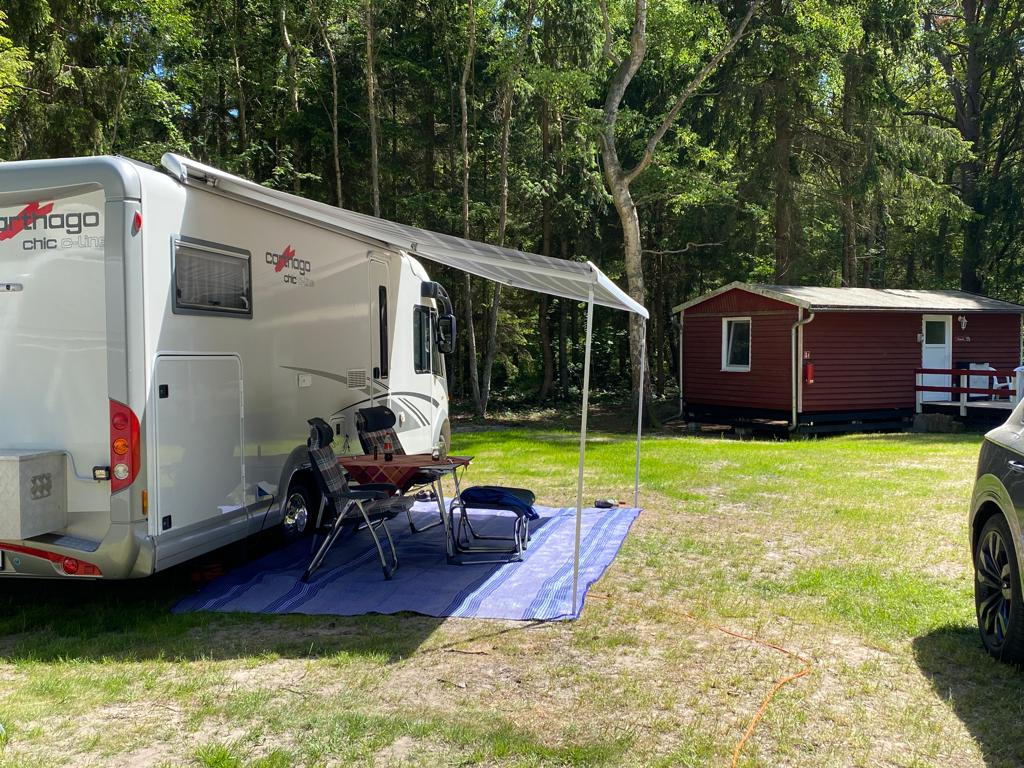 Wohnmobilstellplatz: mit der Natur verbunden sein - Wohnmobil oder Wohnwagen Stellplatz auf Rügen bei Dranske  in der Feriensiedlung Schwalbennest