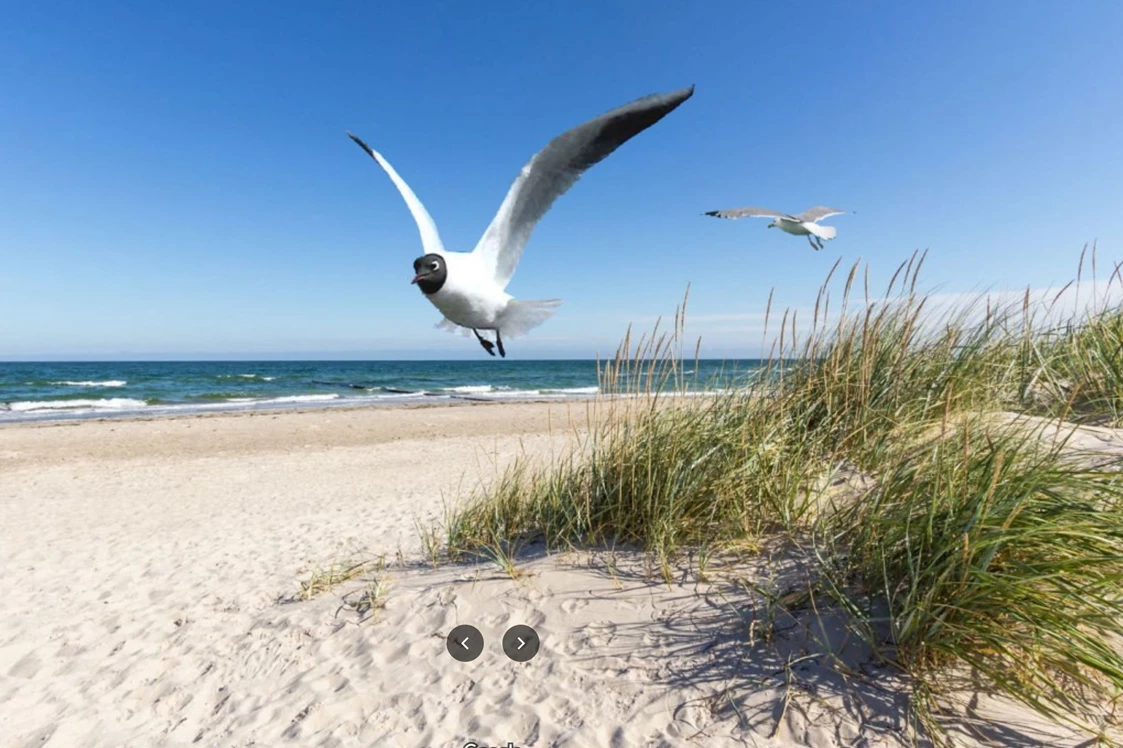 Wohnmobilstellplatz: der schönste Sandstrand Rügens - Wohnmobil oder Wohnwagen Stellplatz auf Rügen bei Dranske Kap Arkona nur 200 m bis zur Ostsee