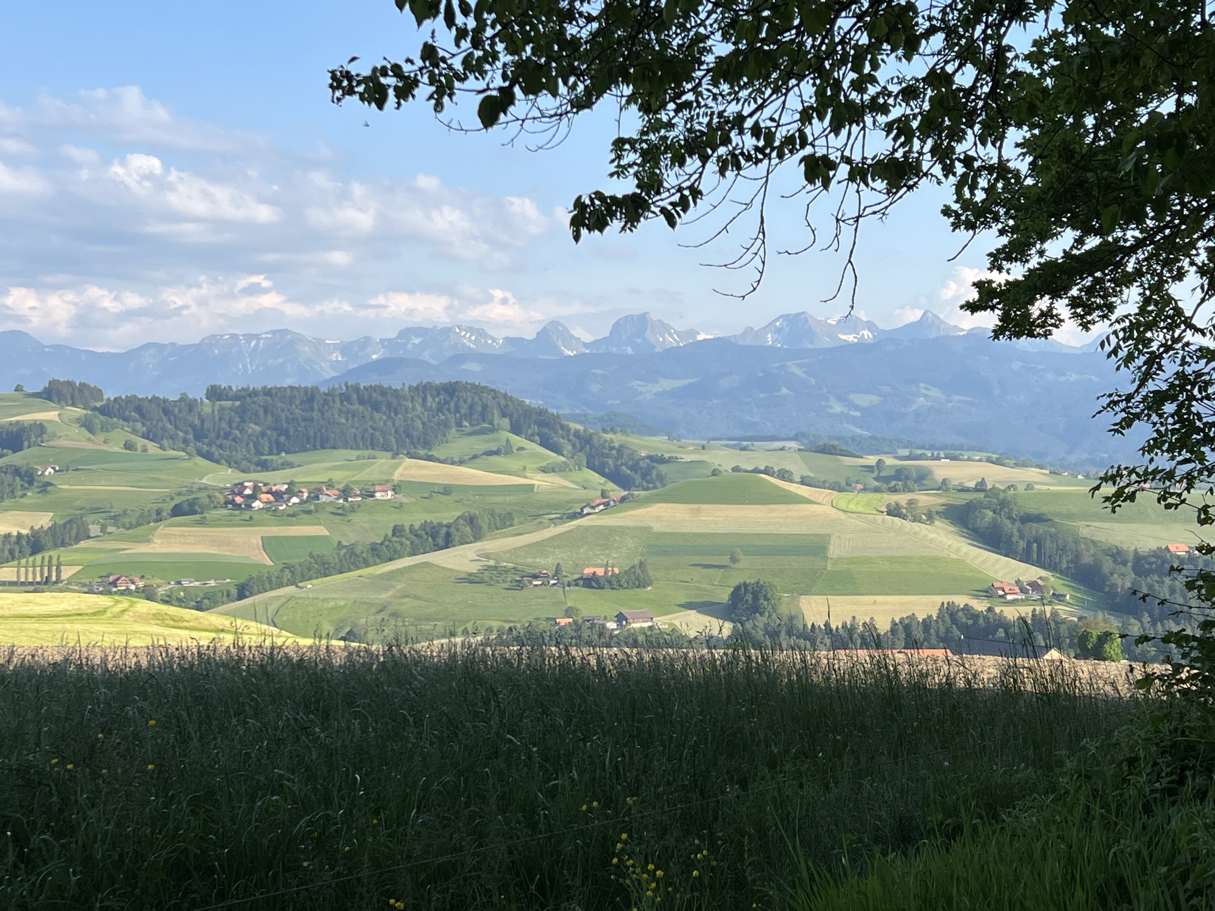 Wohnmobilstellplatz: Rundumsicht Borisried
