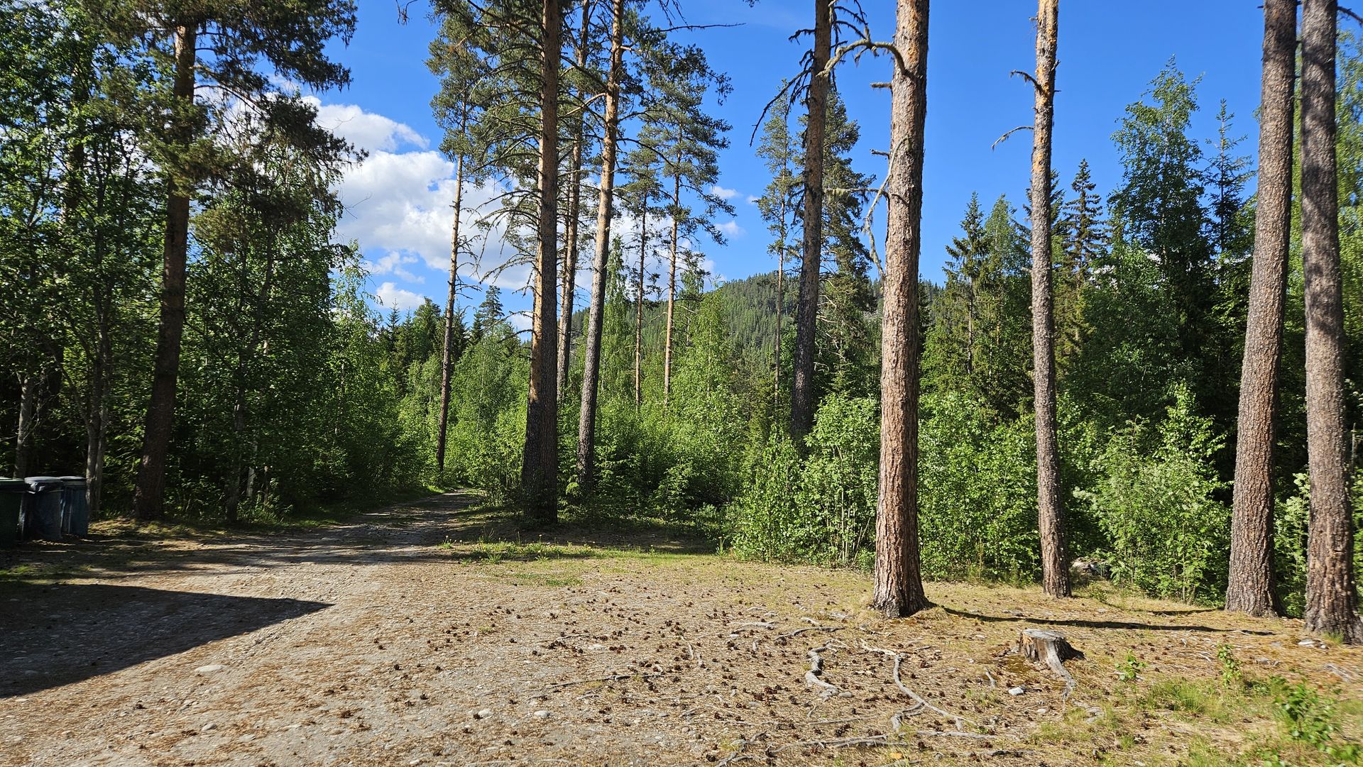 Wohnmobilstellplatz: Ammeråns Fiskecamp AB