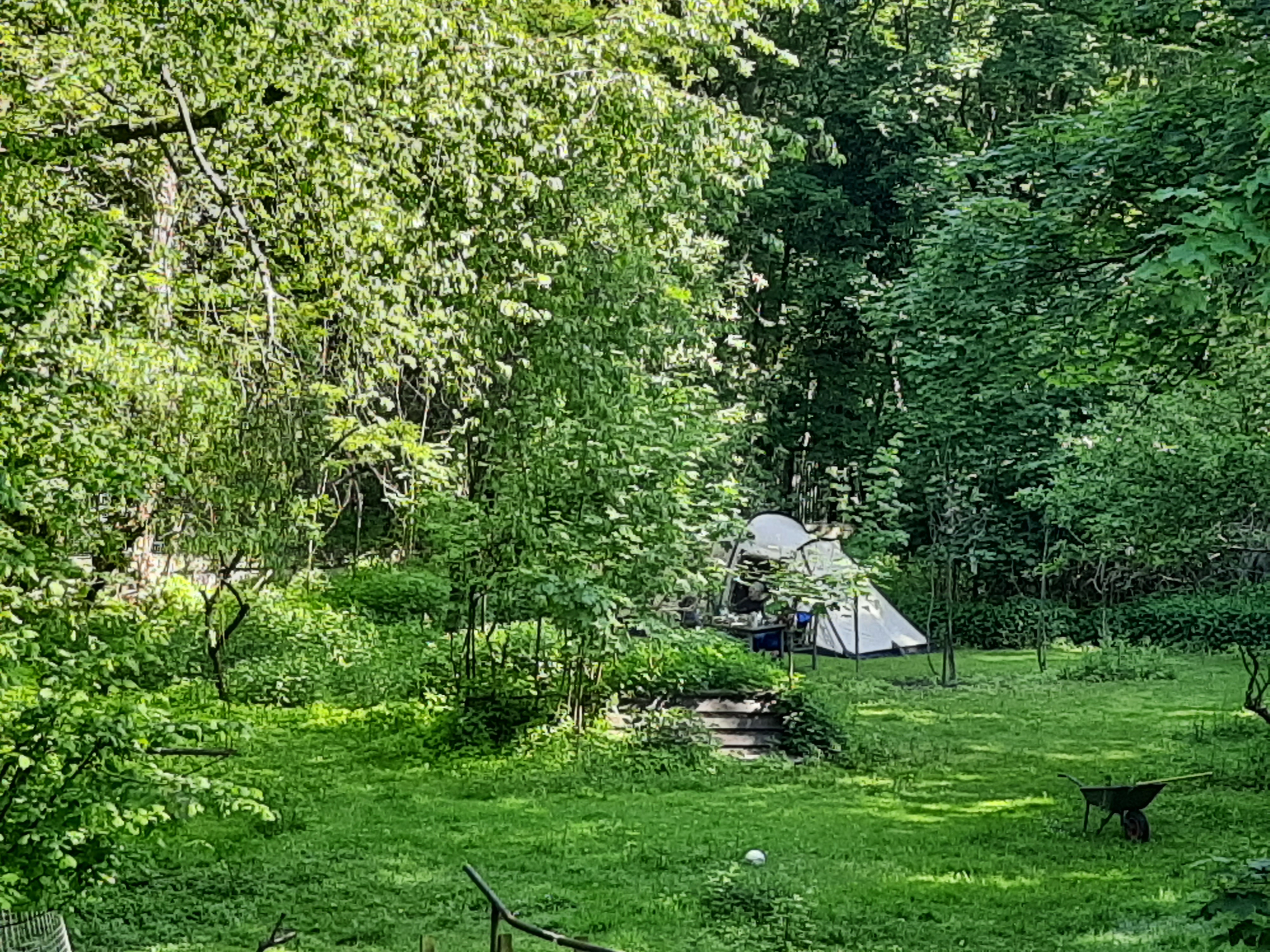 Wohnmobilstellplatz: Mit viel Bezug zur Flora und Fauna. - Zeltplatz im Park mit vielen freilaufenden Tieren