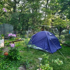 Wohnmobilstellplatz: Plätze für kleine und hroße Zelte - Zeltplatz im Park mit vielen freilaufenden Tieren 