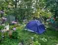 Wohnmobilstellplatz: Plätze für kleine und hroße Zelte - Zeltplatz im Park mit vielen freilaufenden Tieren 