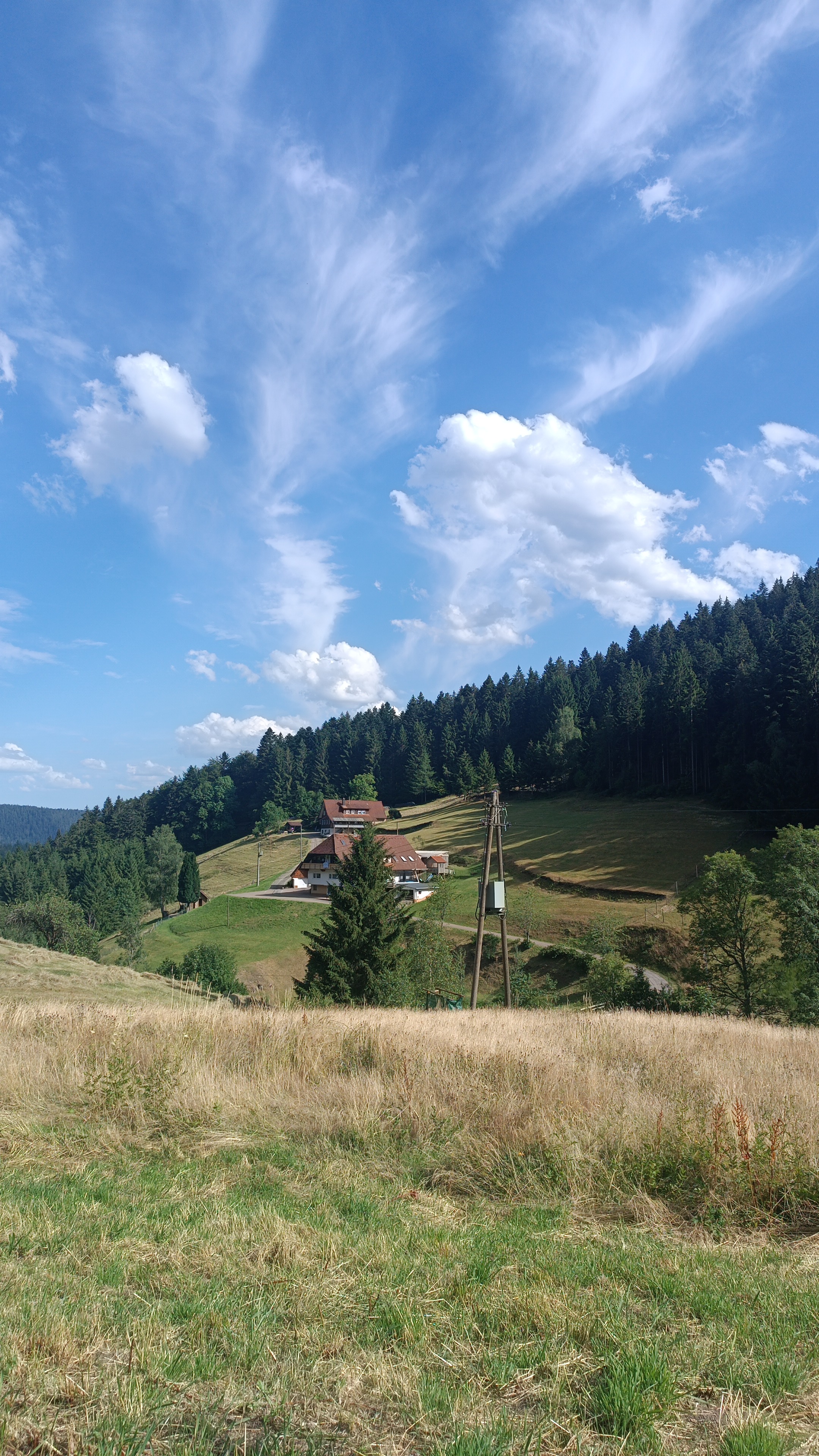 Wohnmobilstellplatz: Glaswaldhof