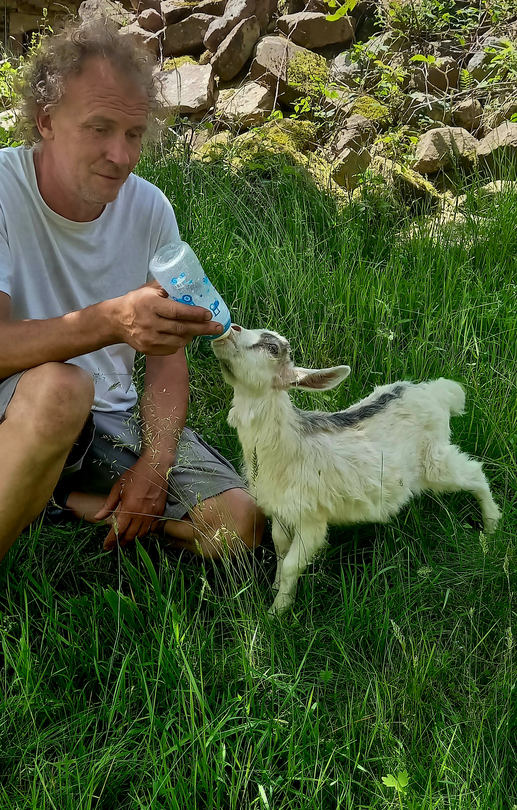 Wohnmobilstellplatz: Glaswaldhof