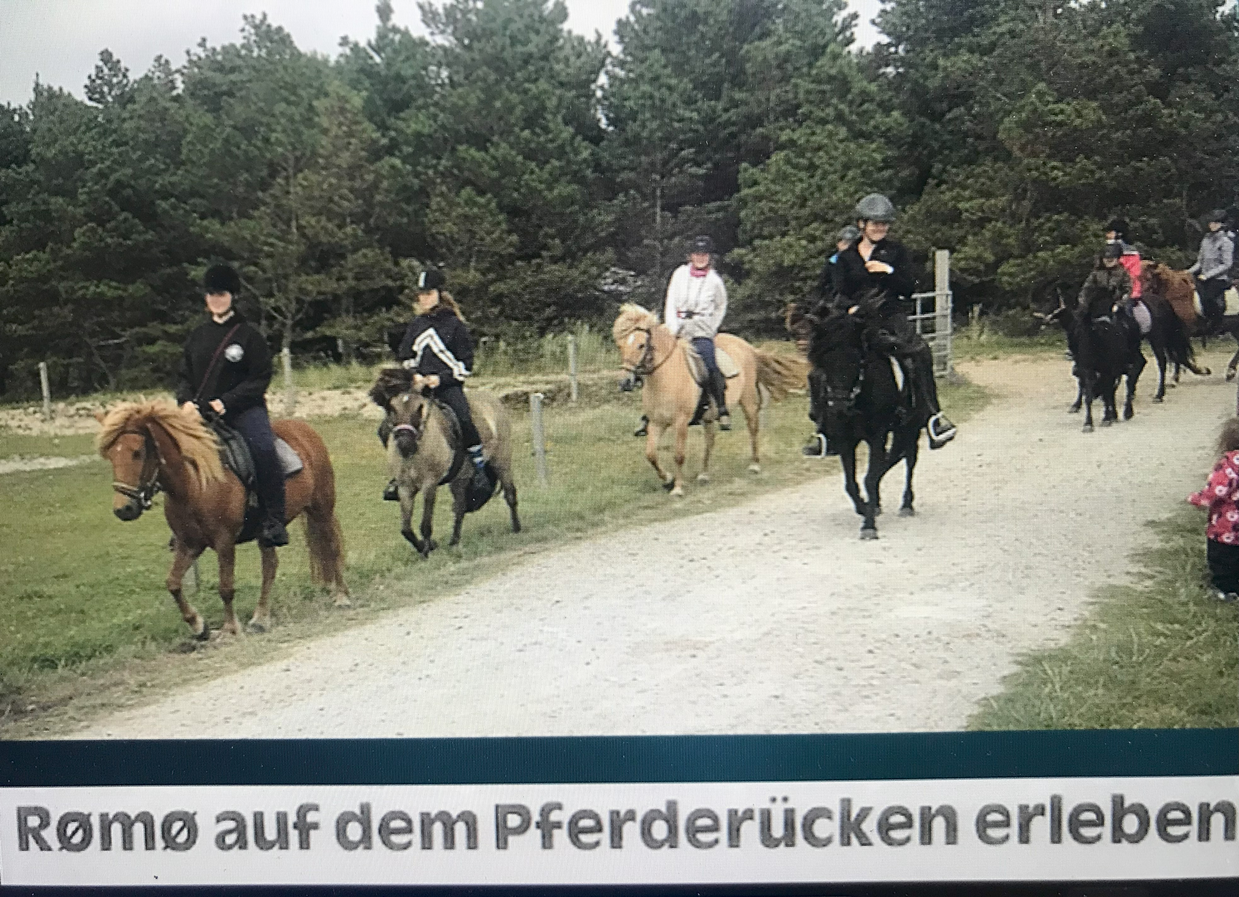 Wohnmobilstellplatz: Strandreiten : Romö Ponyfarm -Romö . Für gr. und kl. Reiter ! - Landhaus Sondernaes - Holmvej 18   DK- 6780 Skaerbaek-Sondernaess