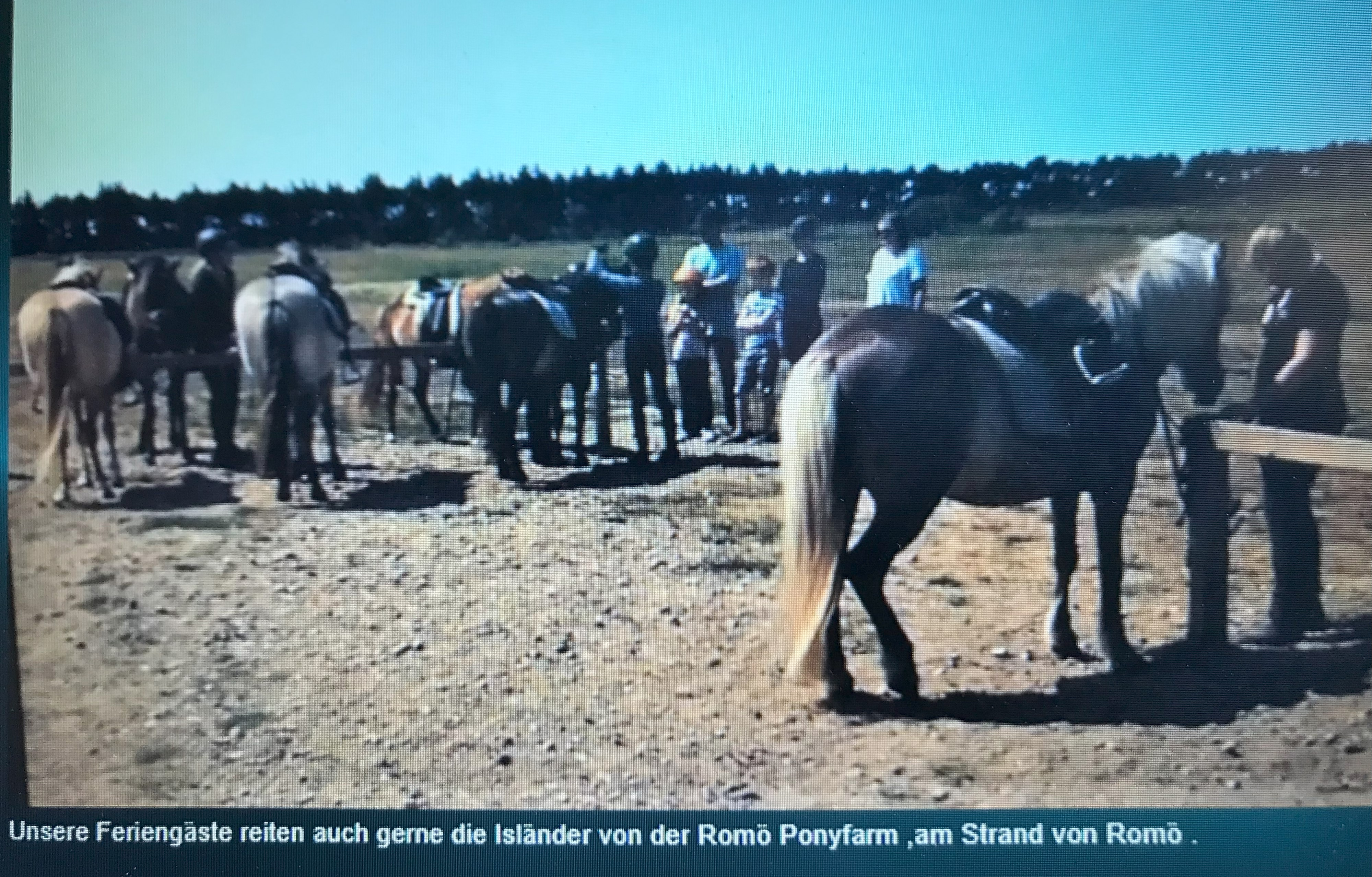 Wohnmobilstellplatz: Landhaus Sondernaes - Holmvej 18   DK- 6780 Skaerbaek-Sondernaess