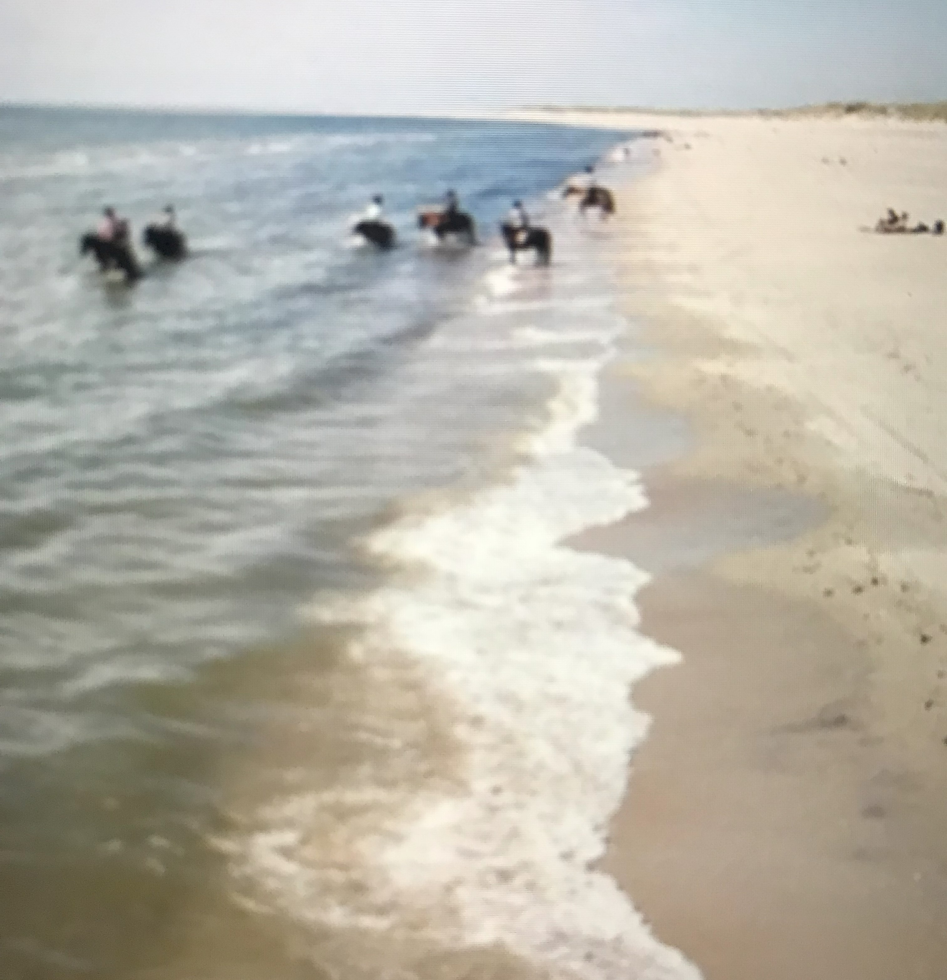 Wohnmobilstellplatz: Strandreiten  Insel Romö . - Landhaus Sondernaes - Holmvej 18   DK- 6780 Skaerbaek-Sondernaess