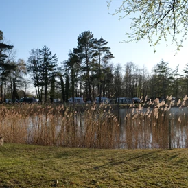 Wohnmobilstellplatz: Blick auf dem Seeplätze  - Wohnmobilhafen Friesland Camping Schortens