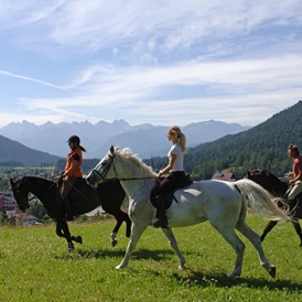 Wohnmobilstellplatz: Ropferhof