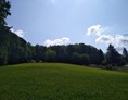 Wohnmobilstellplatz: Blick Richtung Osten  - Ruhiger Naturcamping  Einzelstellplatz am Wald "Talblick"