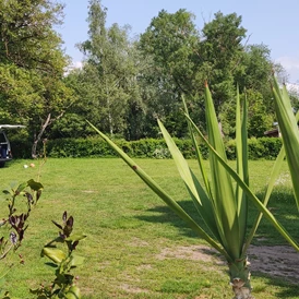 Wohnmobilstellplatz: Stellplatz - Landhaus Noreia's Wiese nahe Klopeiner See