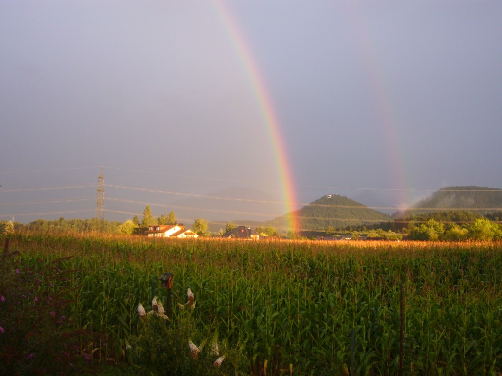 Wohnmobilstellplatz: Make a wish...Ein Blick von der Terrasse Richtung Petzen - Landhaus Noreia's Wiese nahe Klopeiner See