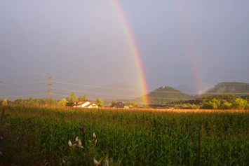 Wohnmobilstellplatz: Make a wish...Ein Blick von der Terrasse Richtung Petzen - Landhaus Noreia's Wiese nahe Klopeiner See