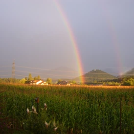 Wohnmobilstellplatz: Make a wish...Ein Blick von der Terrasse Richtung Petzen - Landhaus Noreia's Wiese nahe Klopeiner See