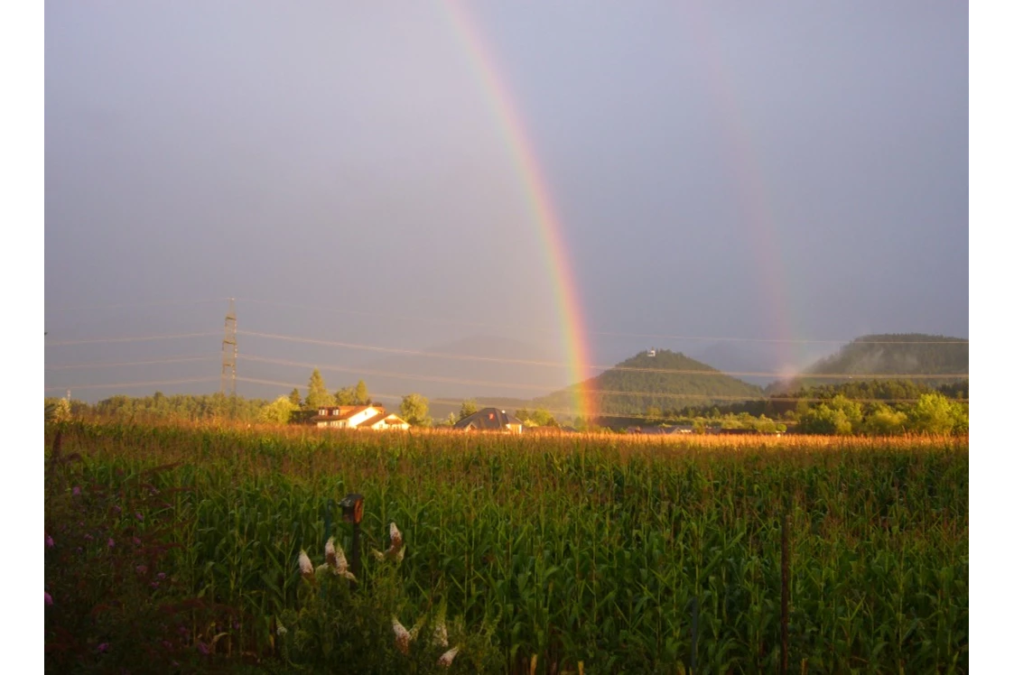 Wohnmobilstellplatz: Make a wish...Ein Blick von der Terrasse Richtung Petzen - Landhaus Noreia's Wiese nahe Klopeiner See