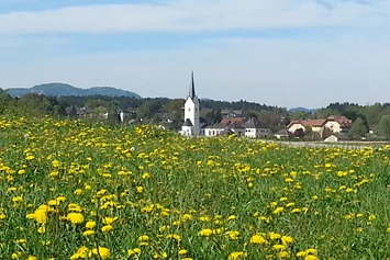 Wohnmobilstellplatz: St.Kanzian im Frühling - Landhaus Noreia's Wiese nahe Klopeiner See