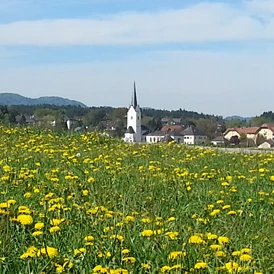 Wohnmobilstellplatz: St.Kanzian im Frühling - Landhaus Noreia's Wiese nahe Klopeiner See