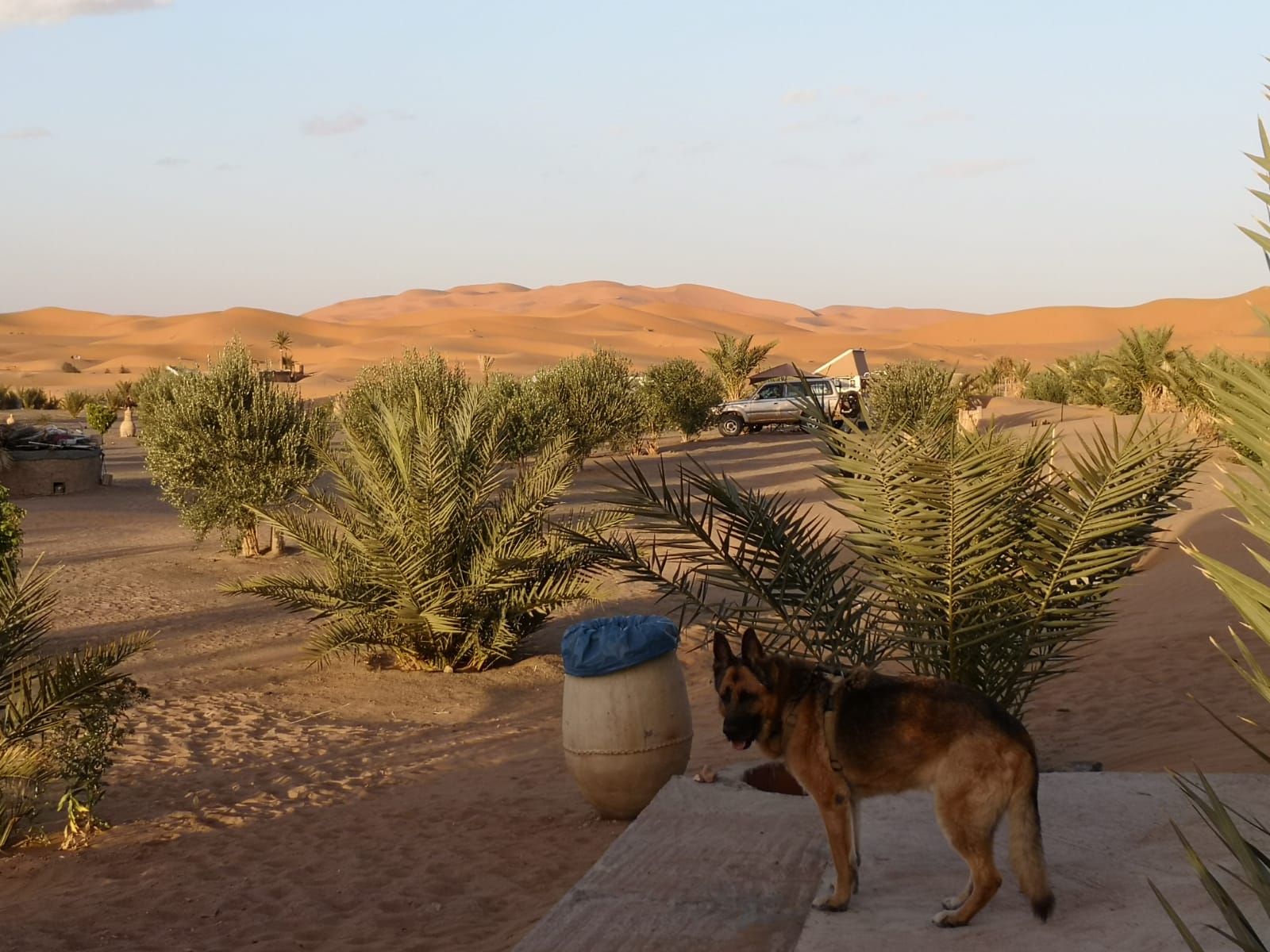 Wohnmobilstellplatz: Haven La Chance Camp