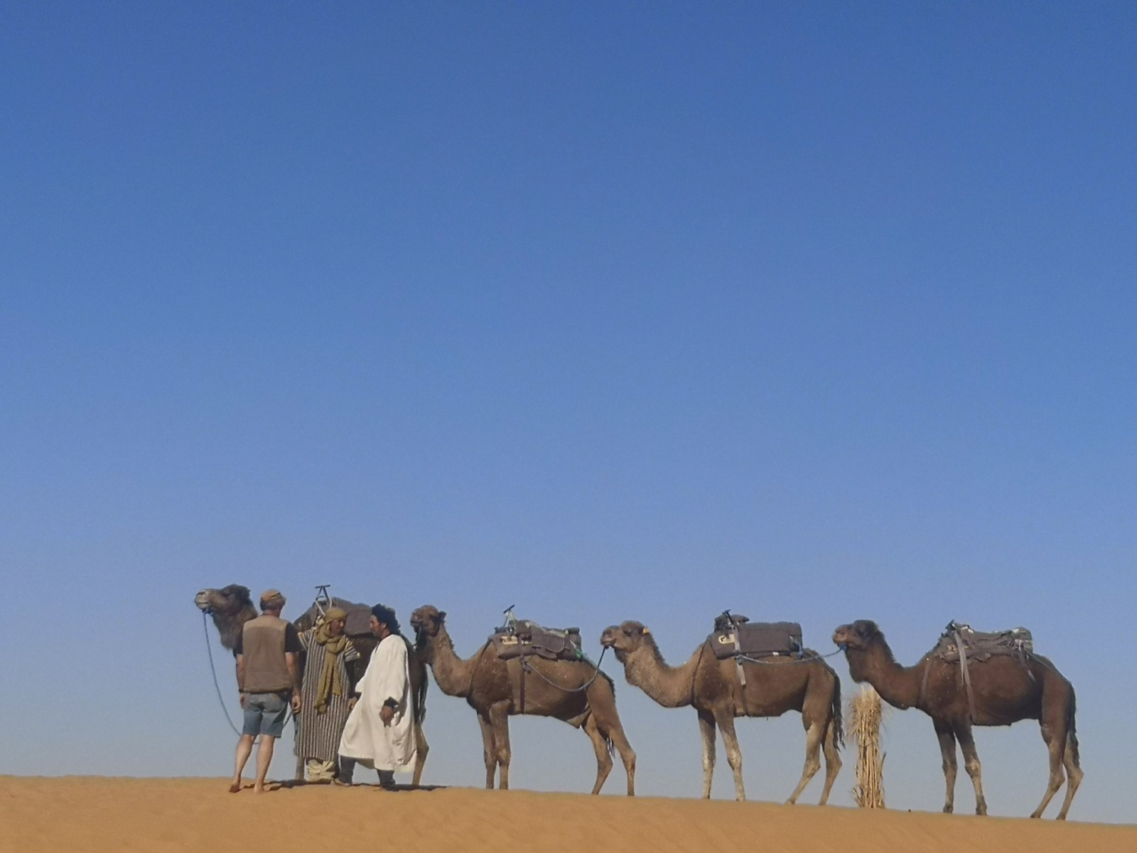 Wohnmobilstellplatz: Haven La Chance Camp