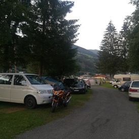 Wohnmobilstellplatz: Camping Viktoria wald im Pinzgau - Camping Viktoria - Wald im Pinzgau -