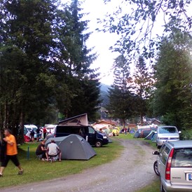 Wohnmobilstellplatz: Camping Viktoria, Wald im Pinzgau - Camping Viktoria - Wald im Pinzgau -