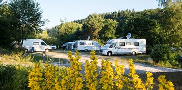 Reisemobilstellplatz - Wohnwagen erlaubt - Wintrich - Camping Harfenmühle