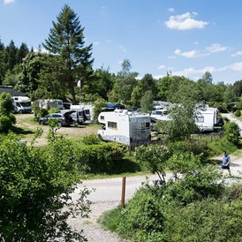 Wohnmobilstellplatz: Camping Harfenmühle
