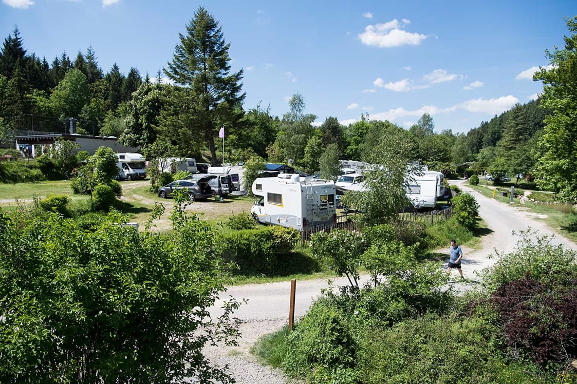 Wohnmobilstellplatz: Camping Harfenmühle