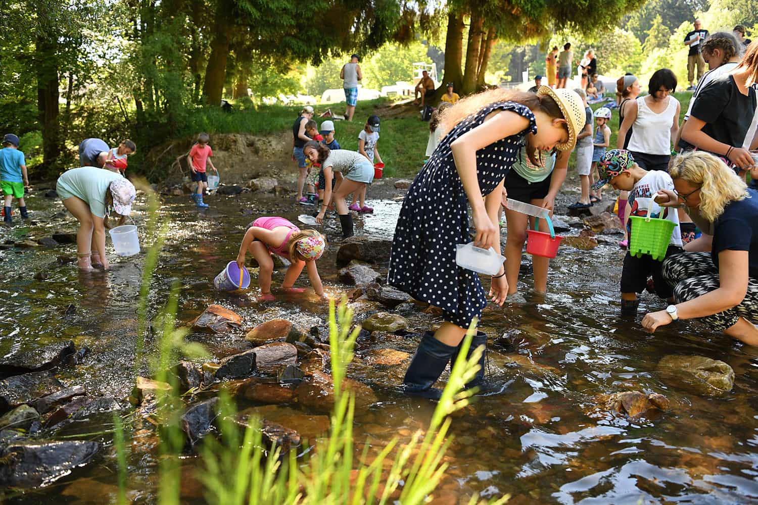 Reisemobilstellplatz: Camping Harfenmühle