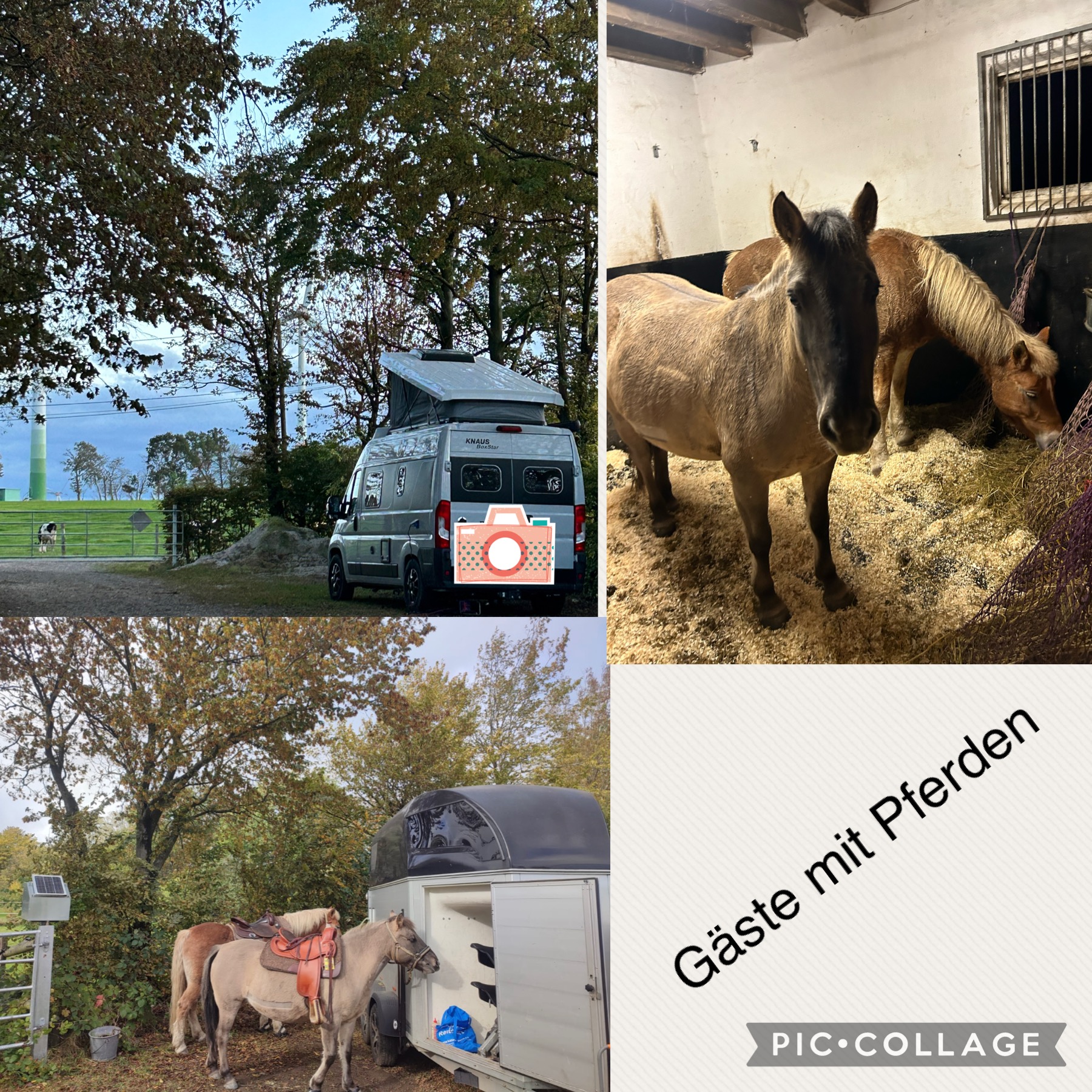 Wohnmobilstellplatz: Eifel pur