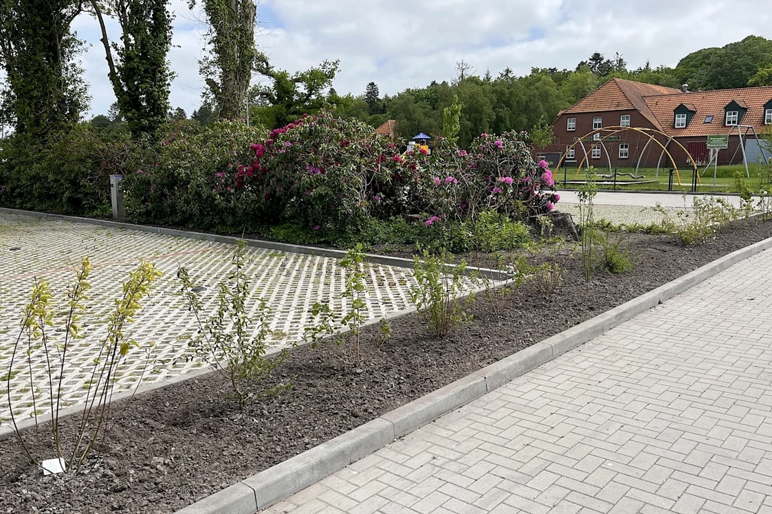 Wohnmobilstellplatz: Stellplatz am Berumerfehner Wald