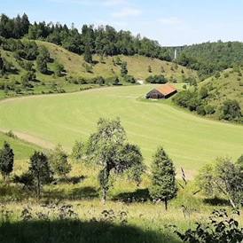 Wohnmobilstellplatz: Hofgut-Neckarburg - Idylle PUR 