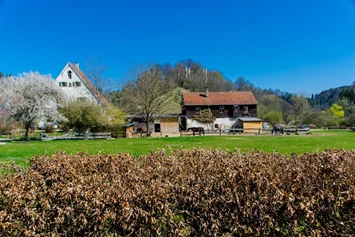 Wohnmobilstellplatz: Hofgut-Neckarburg - Idylle PUR 