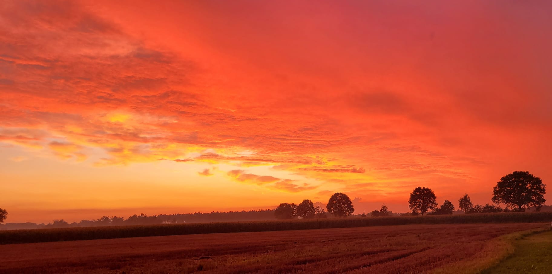 Wohnmobilstellplatz: Herrlicher Sonnenuntergang am Wohnmobilstellplatz  - Wohnmobilstellplatz Heber (Surbostel)