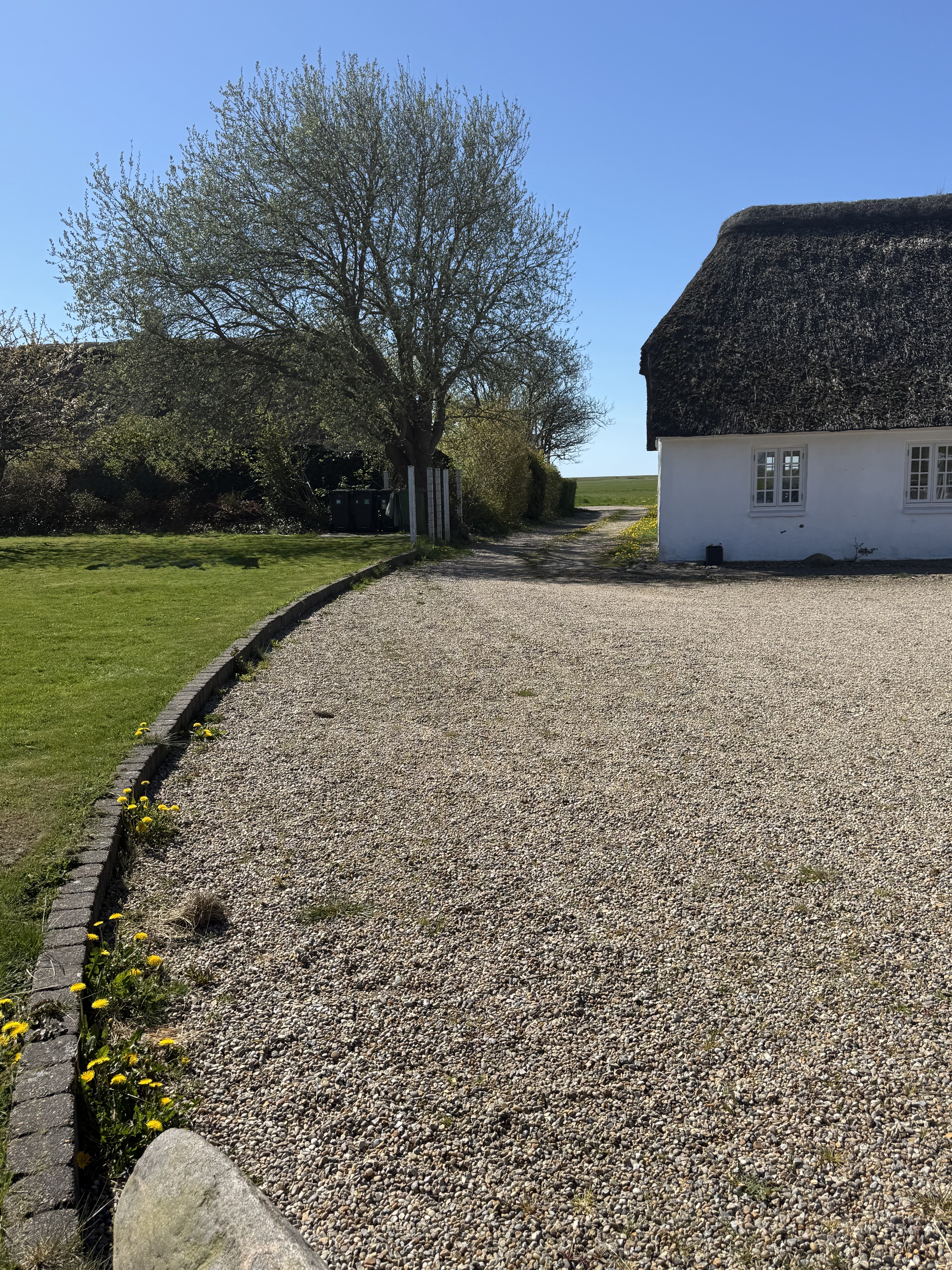 Wohnmobilstellplatz: Aussicht auf den Nordseedeich - Hof Sönderbyvej  zwischen Esbjerg und Ribe - Stellplätze