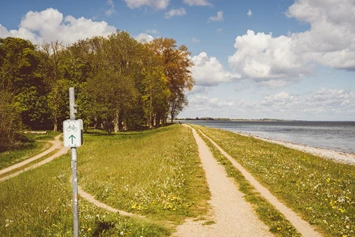 Wohnmobilstellplatz: Ostseecamping Gut Oehe