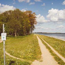 Wohnmobilstellplatz: Ostseecamping Gut Oehe