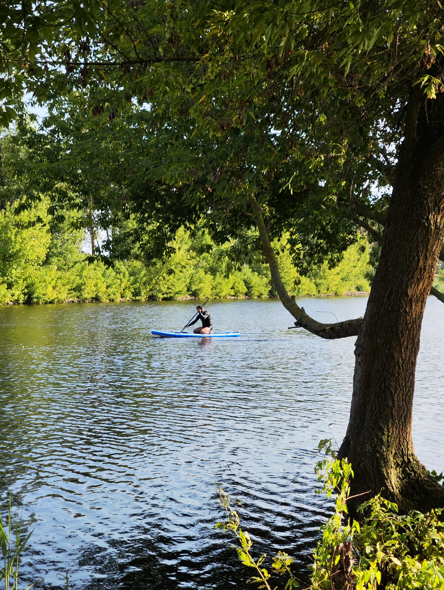 kampeerplaats voor campers - Brandenburg - Wohnmobilstellplatz Nationalpark unteres Odertal
