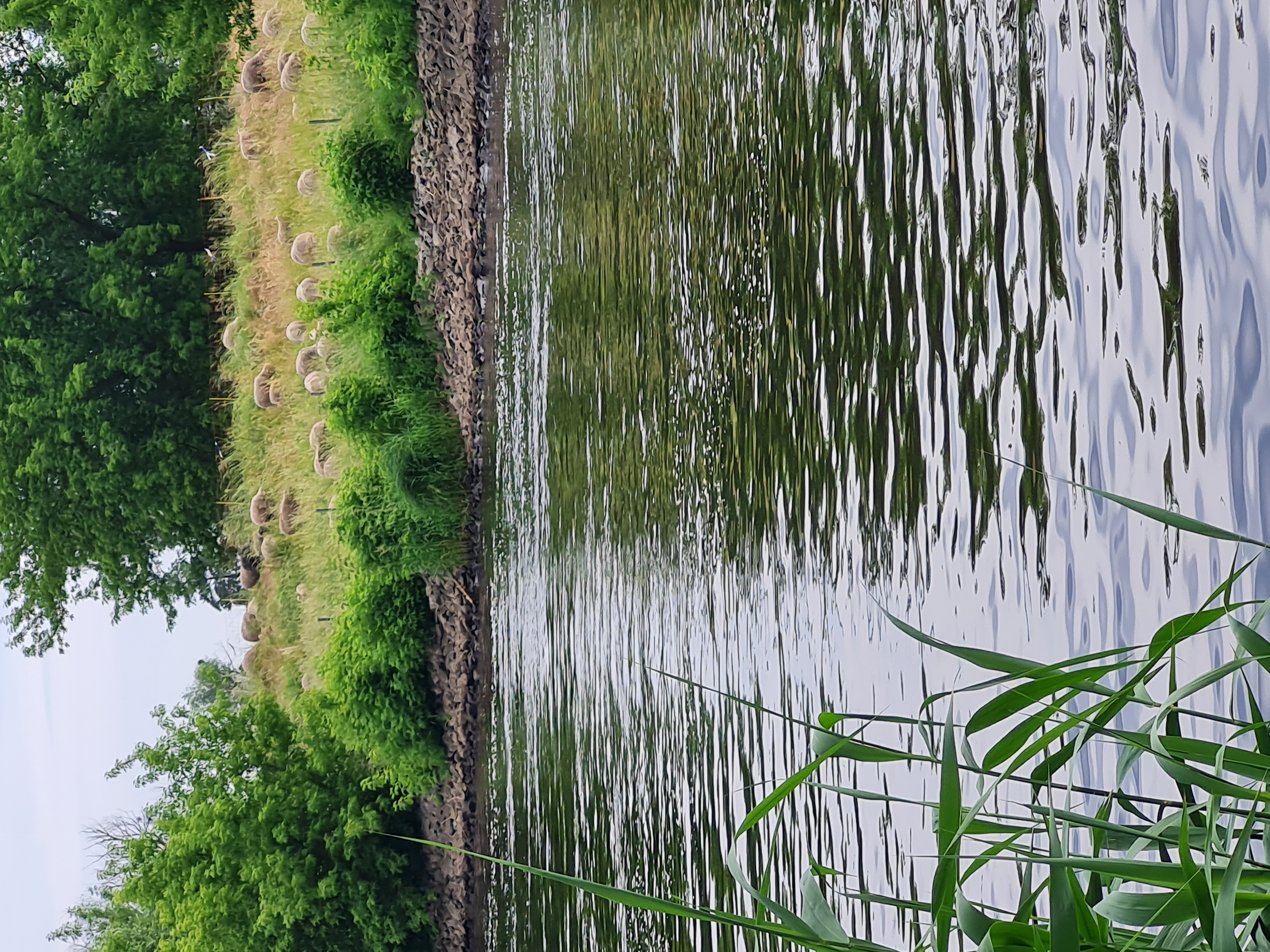 Wohnmobilstellplatz: Wohnmobilstellplatz Nationalpark unteres Odertal