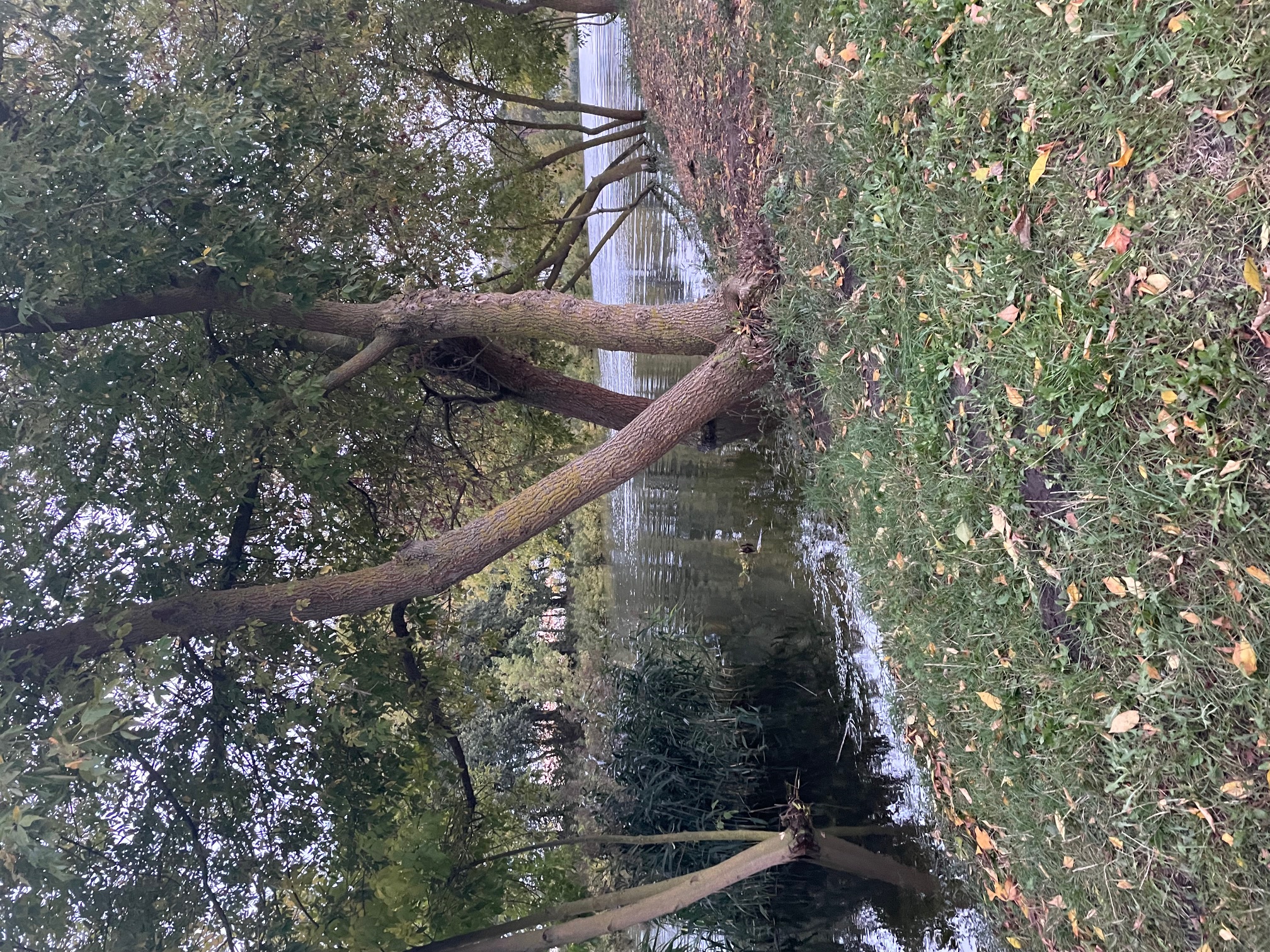 Wohnmobilstellplatz: Wohnmobilstellplatz Nationalpark unteres Odertal